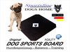 Agility Dogsboard Balanceboard S 30 x 30 cm Original Dogs Home