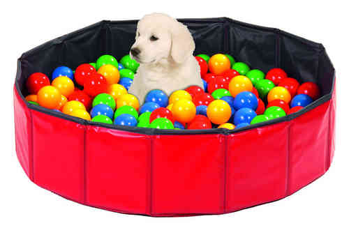 Doggy Pool Spielbälle Hundespielzeug