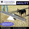 Hundewippe 160 x 45 x 25 cm Agility wetterfest Hundesportartikel