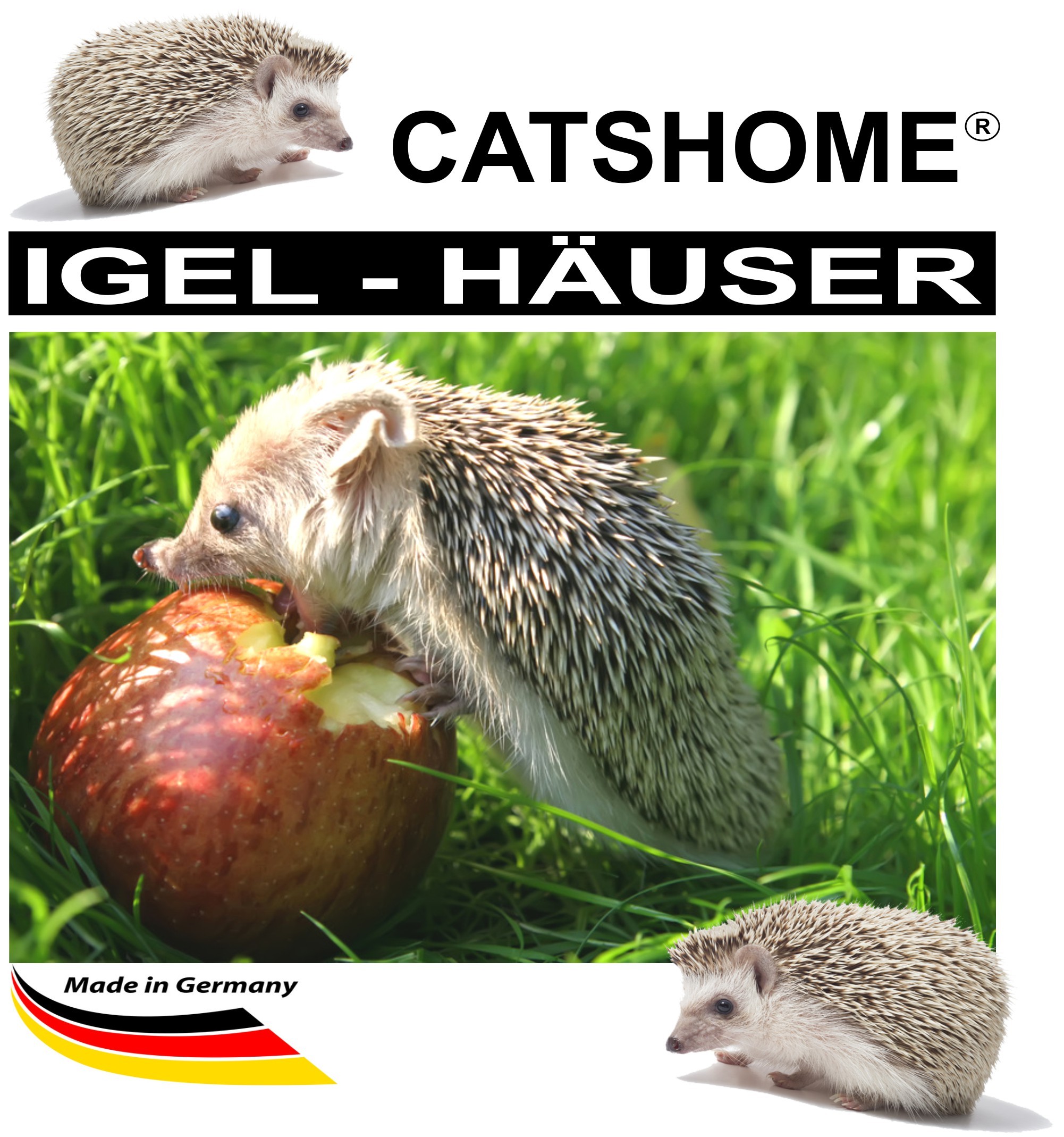 igelhaus_igelhaeuser